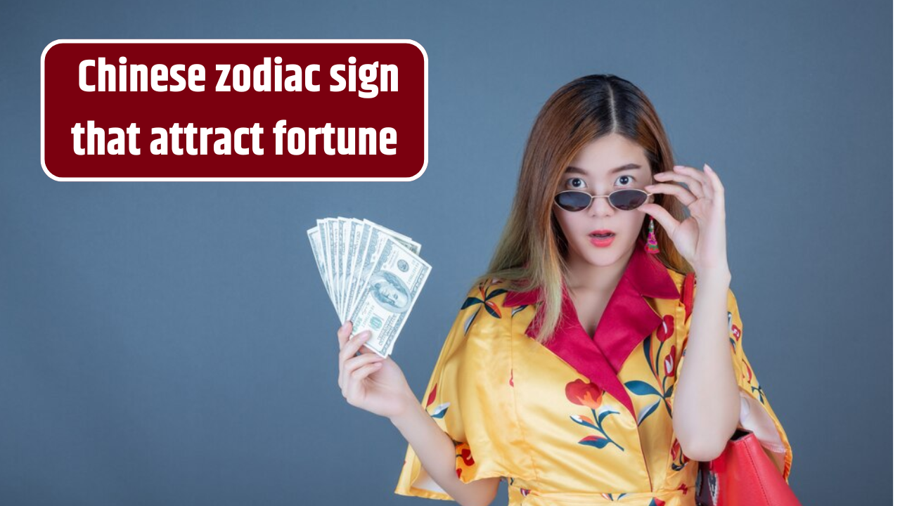Top 4 Chinese Zodiac Sign That Attract Fortune