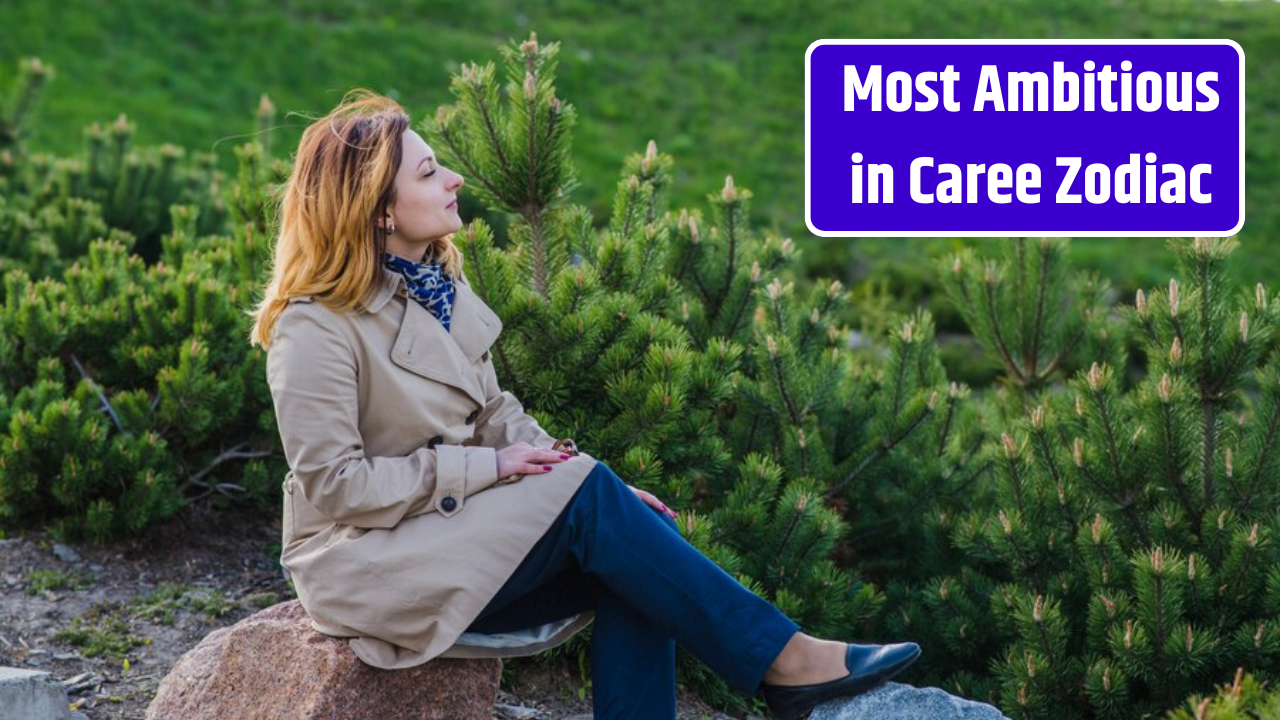 Top 5 Zodiac Signs Most Ambitious in Career