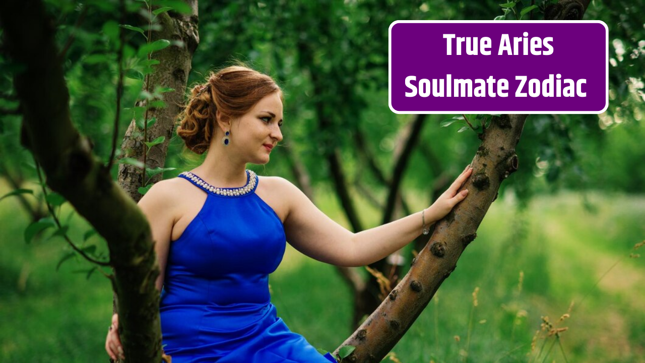 top 4 Zodiac Signs That Could Be True Aries Soulmate